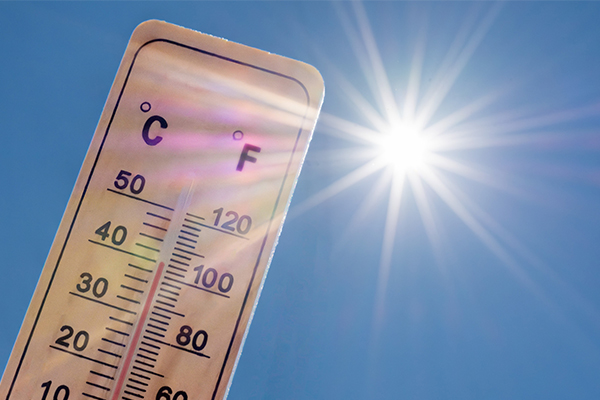 Canicule